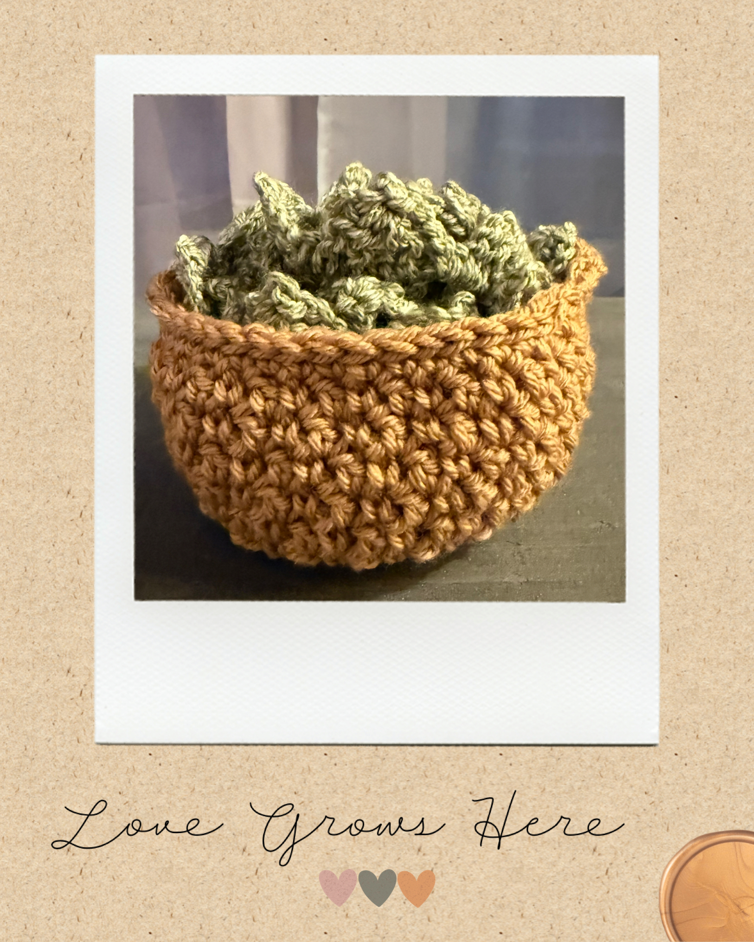 Crochet Succulent Coaster Set